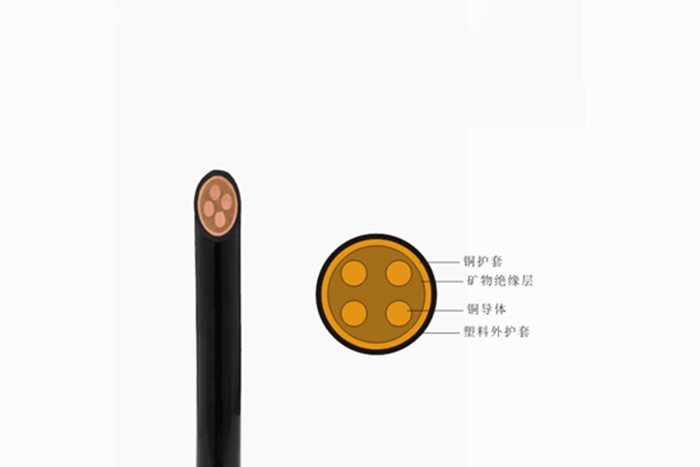 WD-BTTYZ-750V WD-BTTYZ-750V